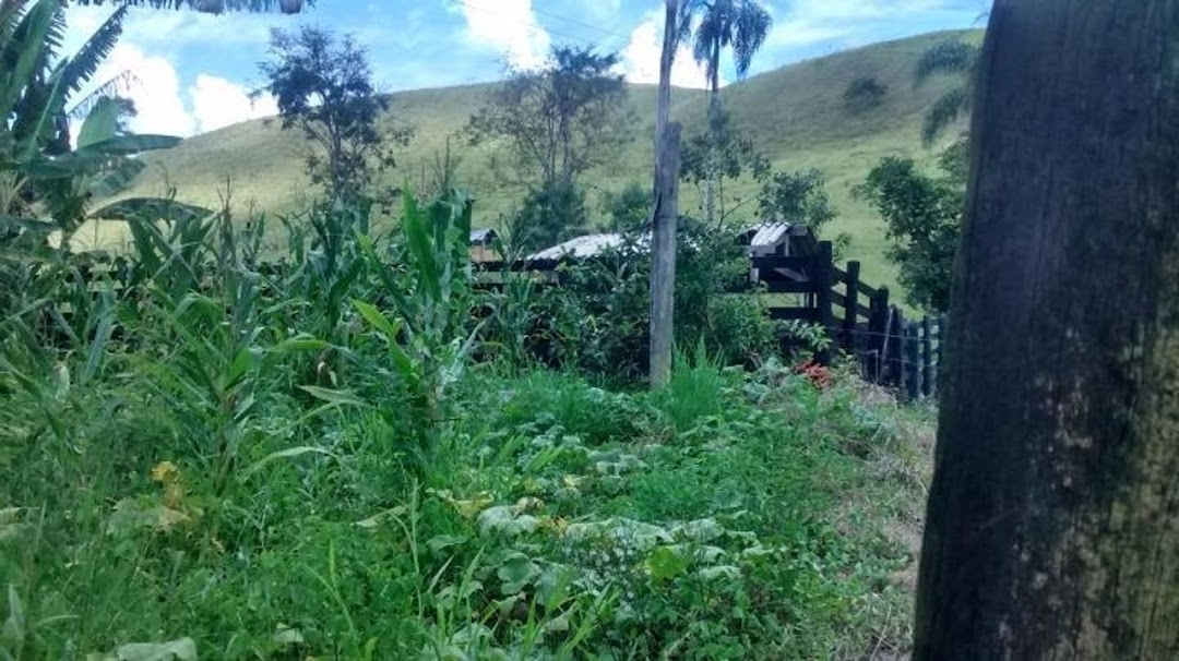 Fazenda em Natividade da Serra/São Paulo — Ref SWJO3R — Imagem 34