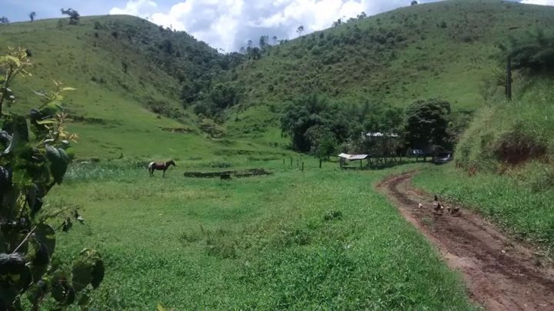 Fazenda em Natividade da Serra/São Paulo — Ref SWJO3R — Imagem 36