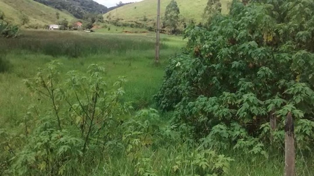 Fazenda em Natividade da Serra/São Paulo — Ref SWJO3R — Imagem 38