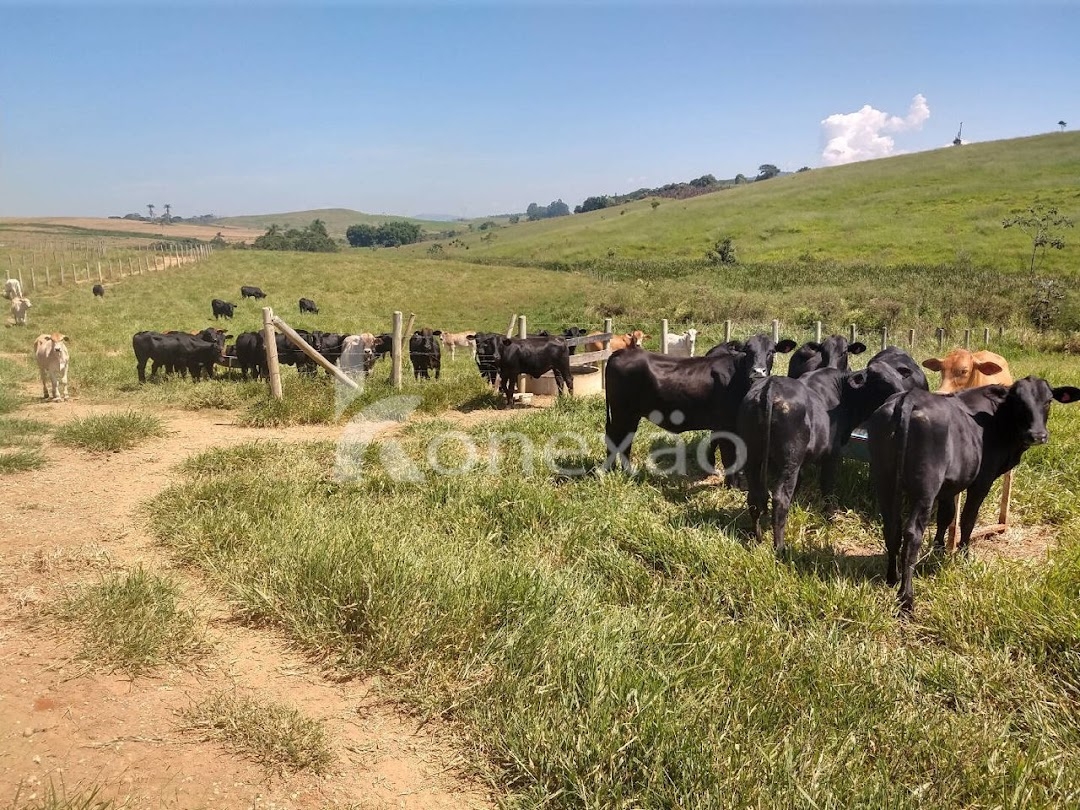 Fazenda-Sítio-Chácara, 249 m² - Foto 6