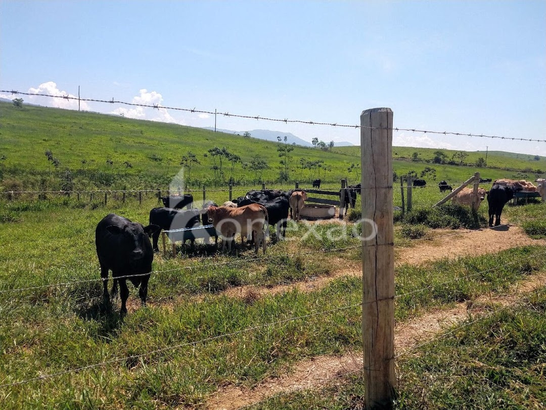 Fazenda-Sítio-Chácara, 249 m² - Foto 16