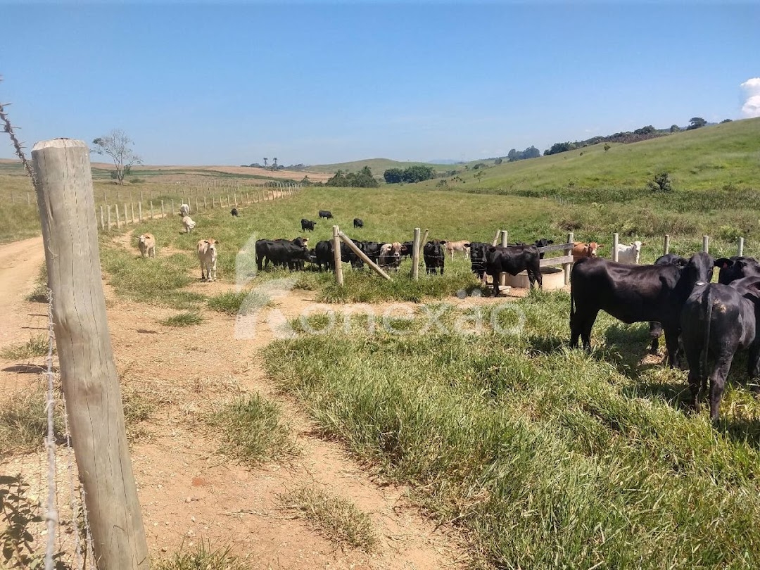 Fazenda-Sítio-Chácara, 249 m² - Foto 7