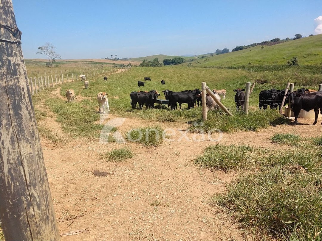 Fazenda-Sítio-Chácara, 249 m² - Foto 9