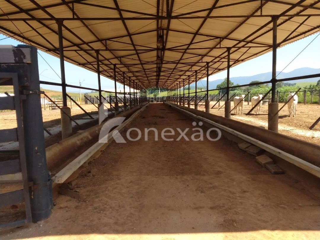 Fazenda-Sítio-Chácara, 249 m² - Foto 5