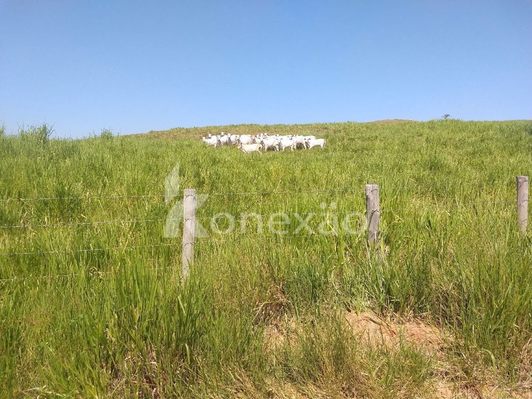 Fazenda-Sítio-Chácara, 249 m² - Foto 10