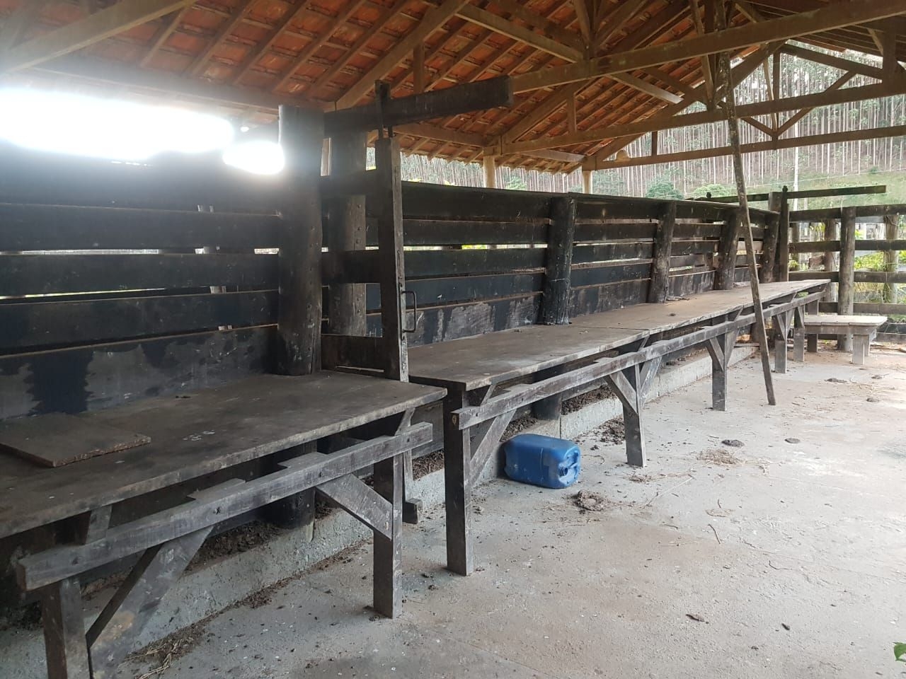 Fazenda, 500 m² - Foto 3