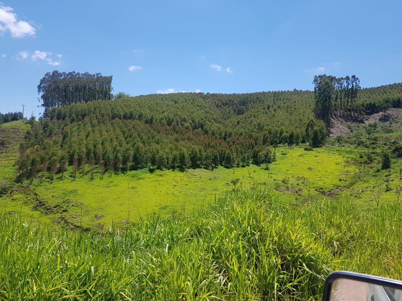 Fazenda, 500 m² - Foto 6