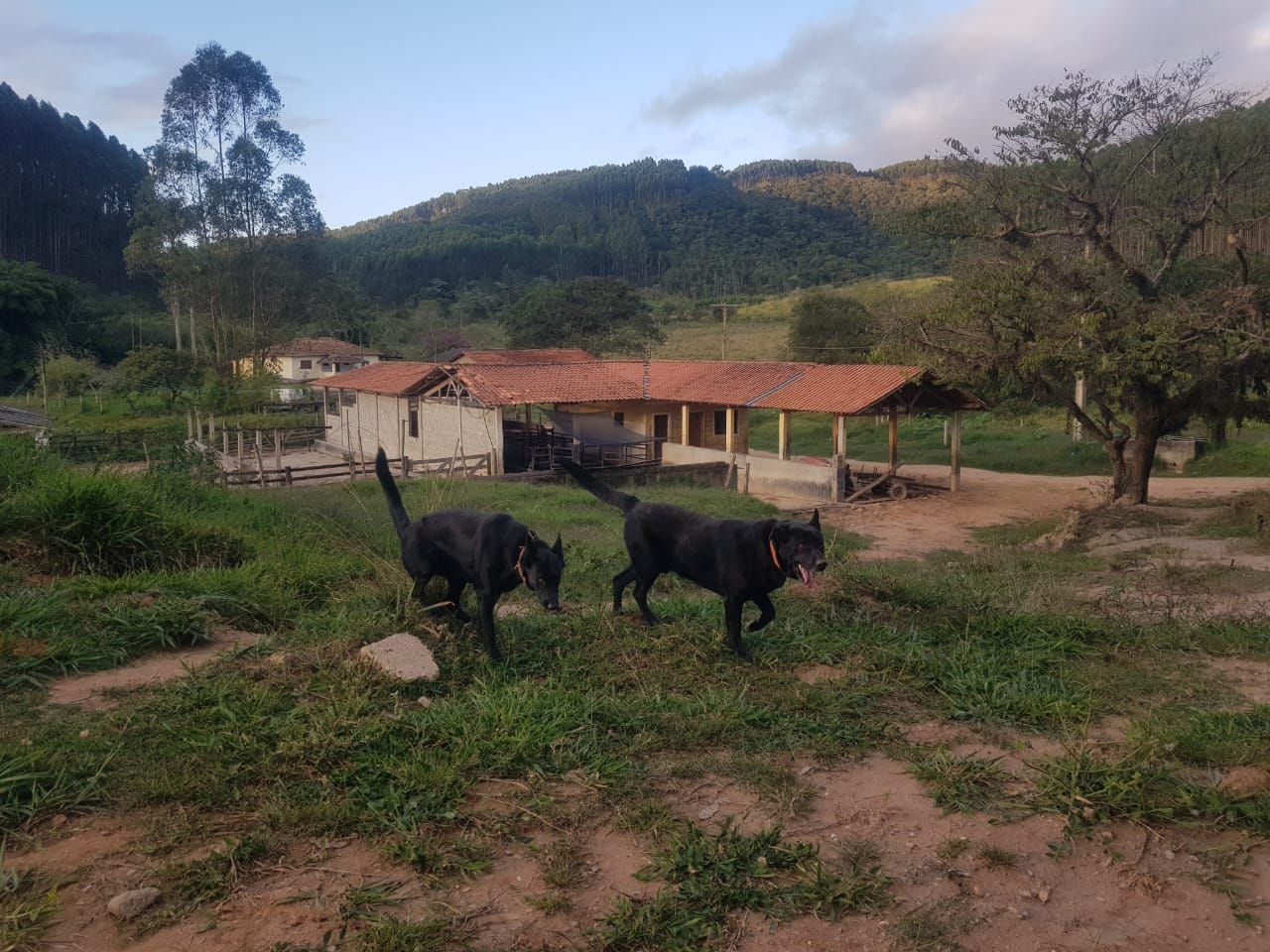 Fazenda, 500 m² - Foto 16