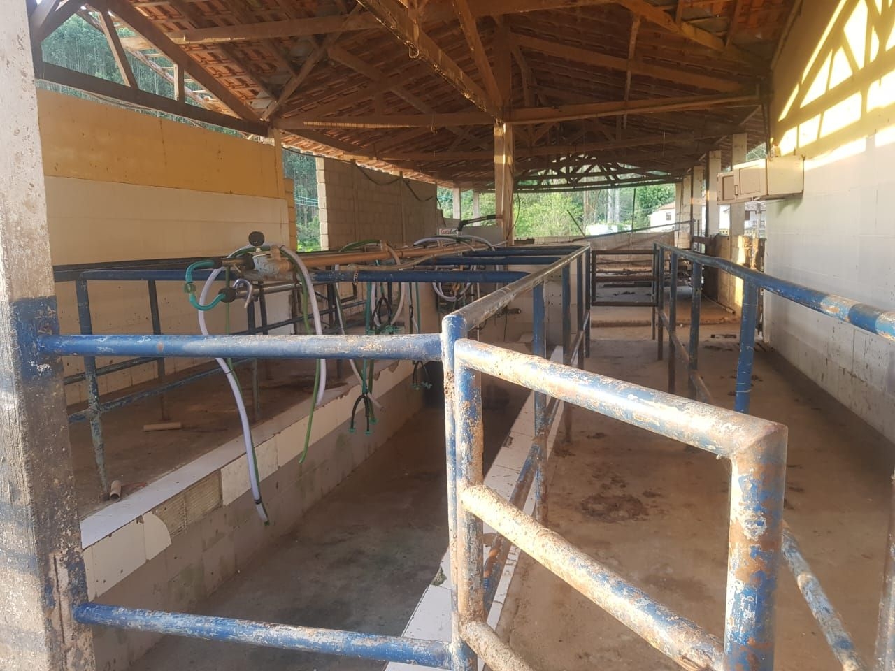 Fazenda, 500 m² - Foto 20