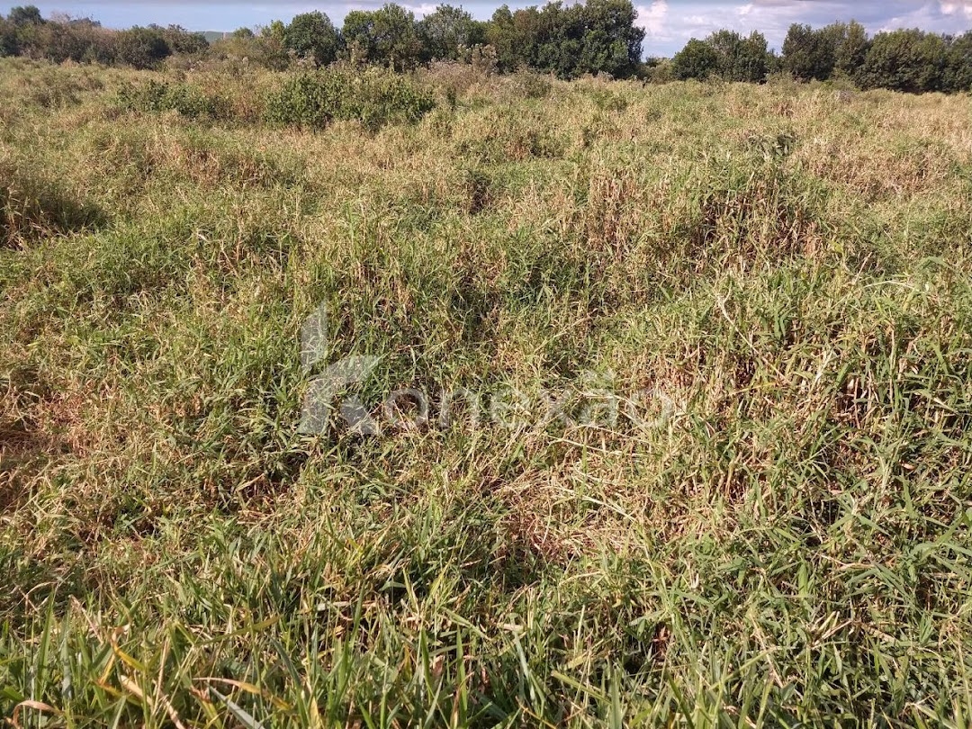 Fazenda-Sítio-Chácara, 249 m² - Foto 29