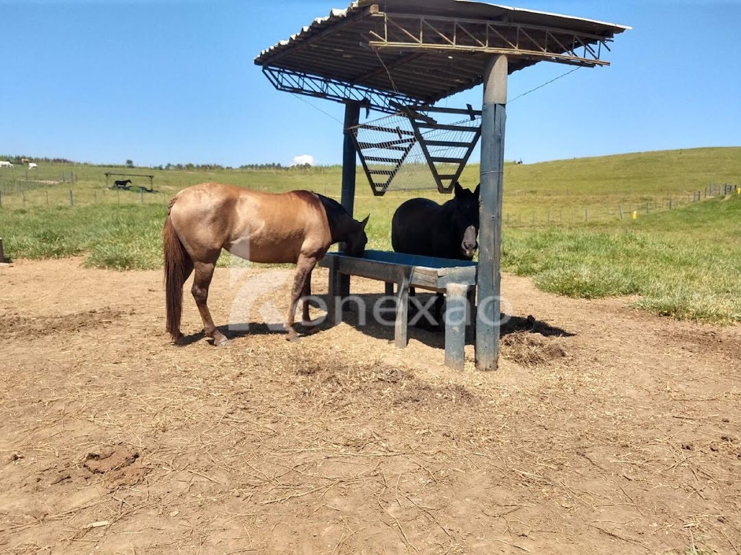 Fazenda-Sítio-Chácara, 249 m² - Foto 26