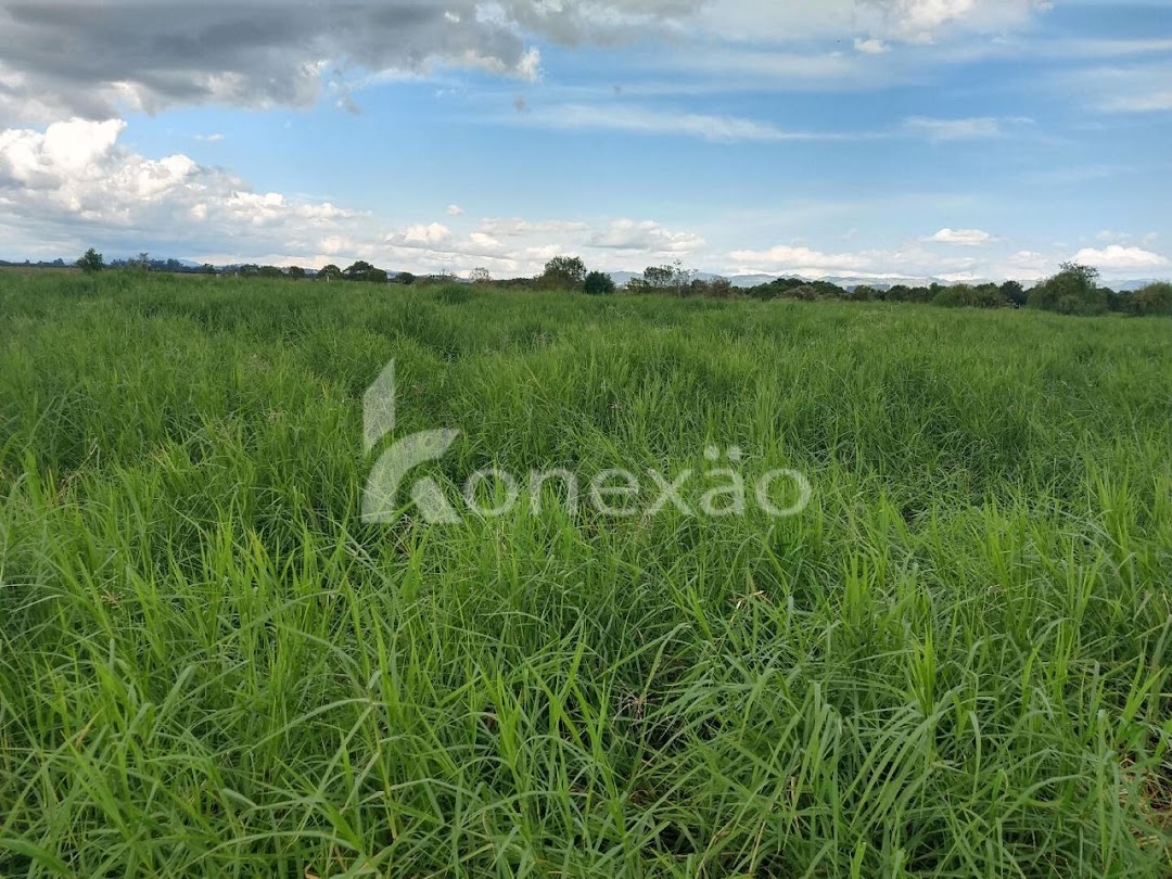 Fazenda-Sítio-Chácara, 249 m² - Foto 39