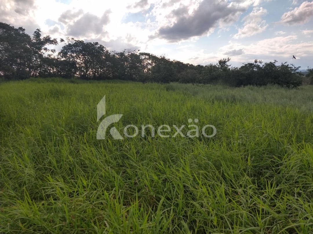 Fazenda-Sítio-Chácara, 249 m² - Foto 35