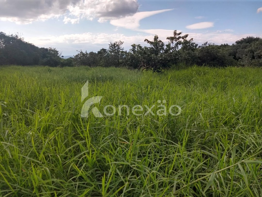 Fazenda-Sítio-Chácara, 249 m² - Foto 30