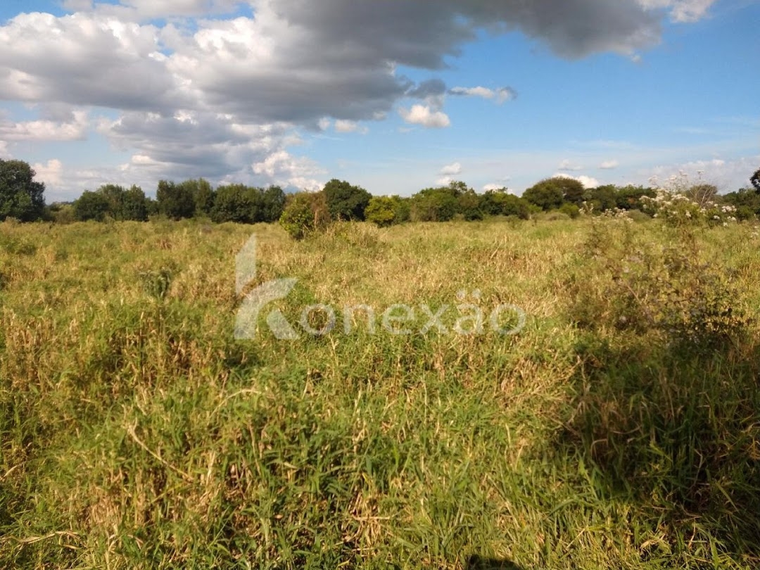 Fazenda-Sítio-Chácara, 249 m² - Foto 28