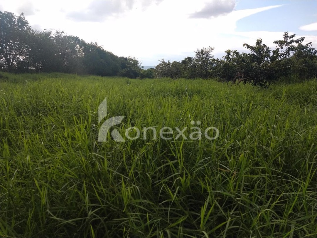 Fazenda-Sítio-Chácara, 249 m² - Foto 31