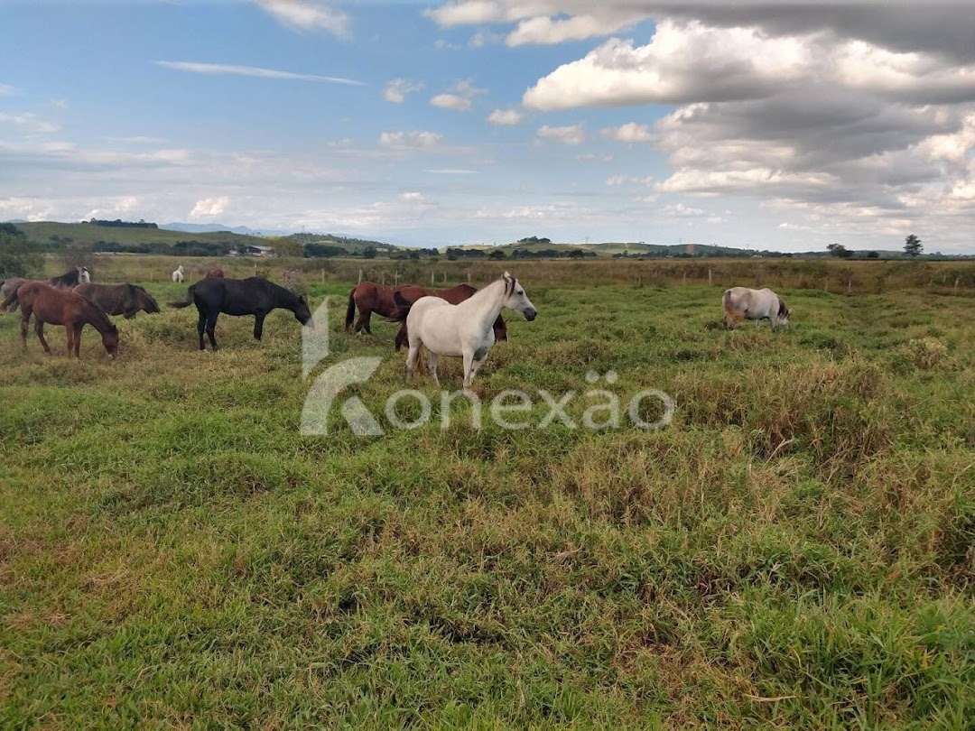 Fazenda-Sítio-Chácara, 249 m² - Foto 44
