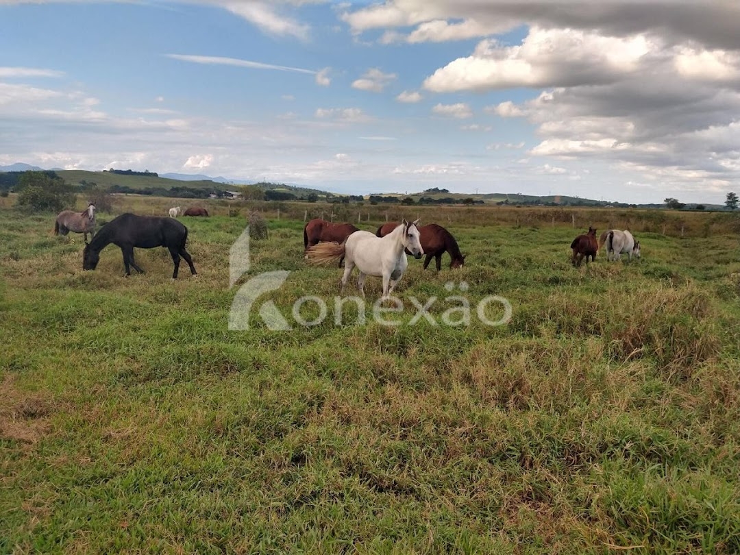 Fazenda-Sítio-Chácara, 249 m² - Foto 45
