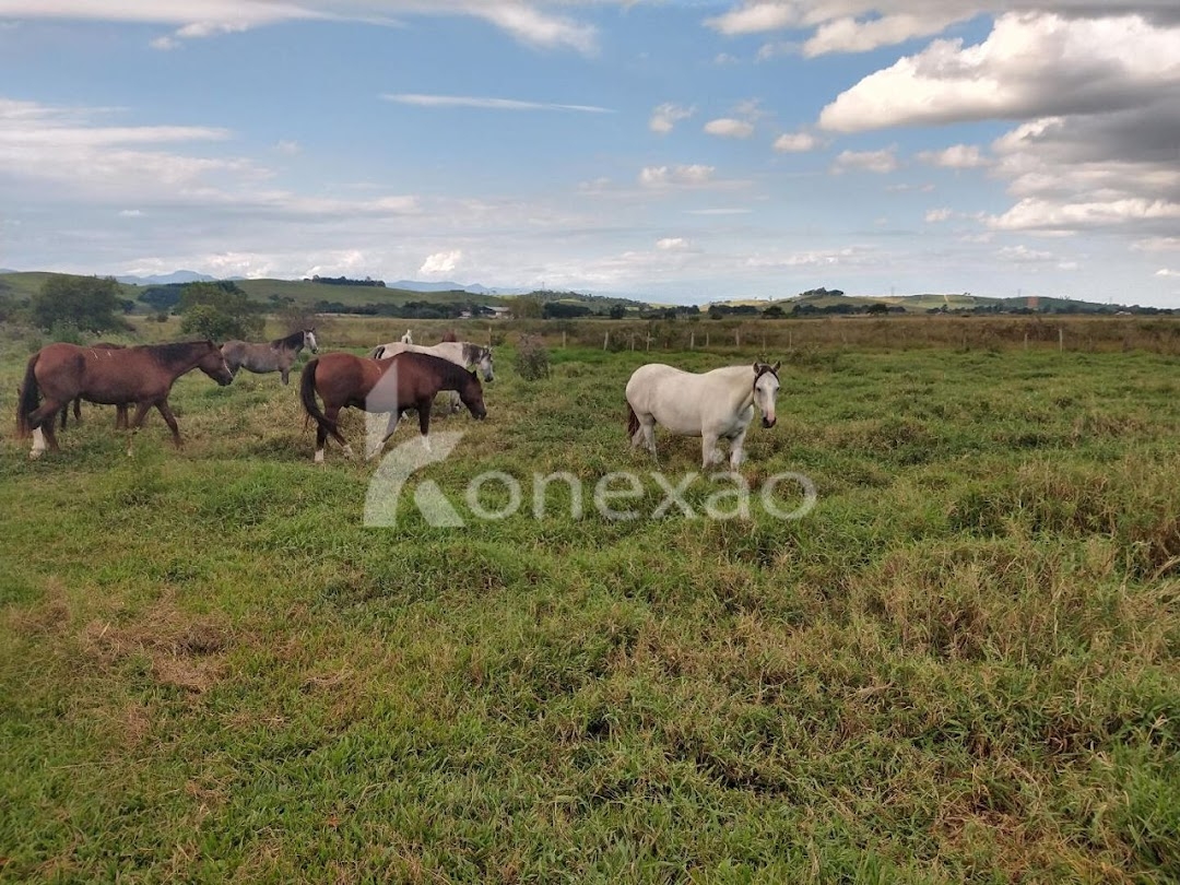 Fazenda-Sítio-Chácara, 249 m² - Foto 43