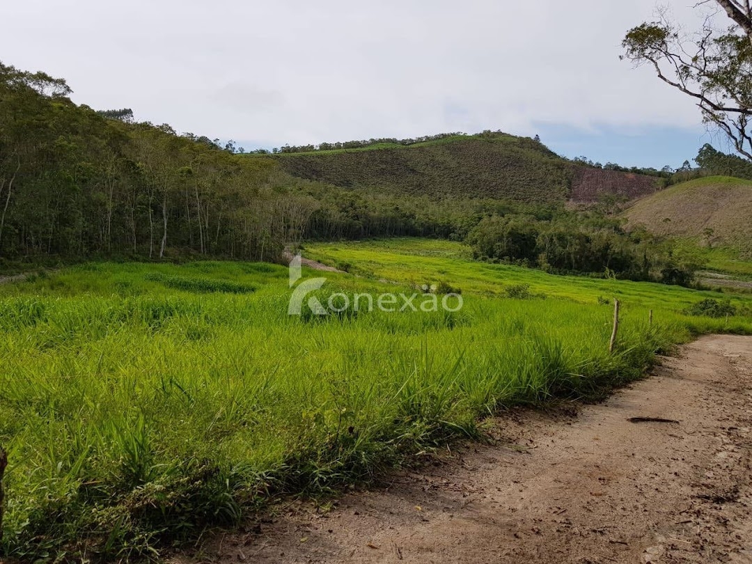 Fazenda em São Luíz do Paraitinga/São Paulo — Ref 1ZQMPQ — Imagem 13