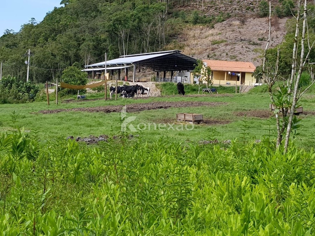 Fazenda em São Luíz do Paraitinga/São Paulo — Ref 1ZQMPQ — Imagem 11