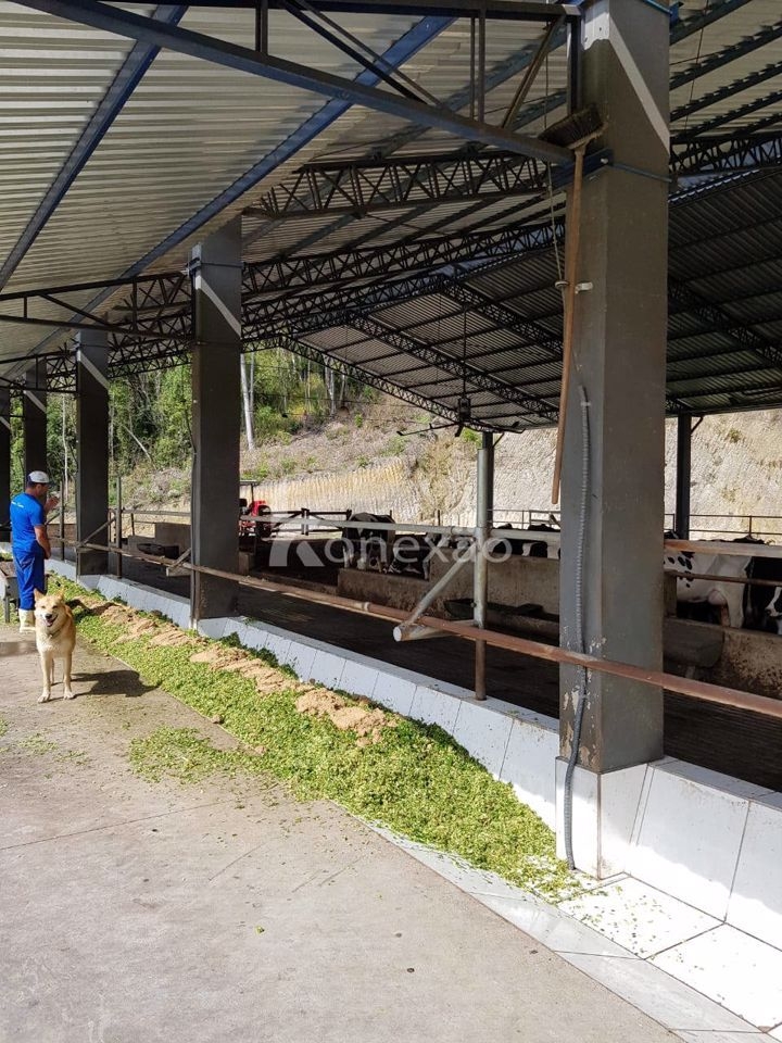 Fazenda em São Luíz do Paraitinga/São Paulo — Ref 1ZQMPQ — Imagem 7