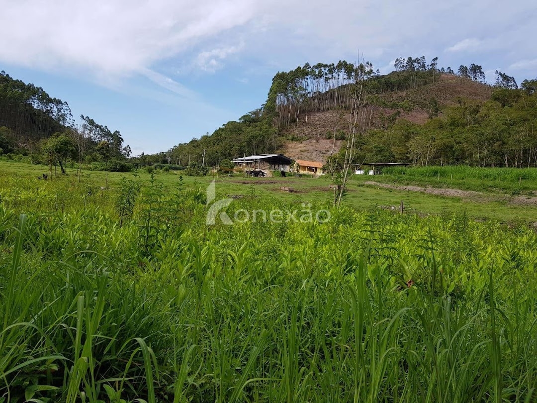 Fazenda em São Luíz do Paraitinga/São Paulo — Ref 1ZQMPQ — Imagem 10