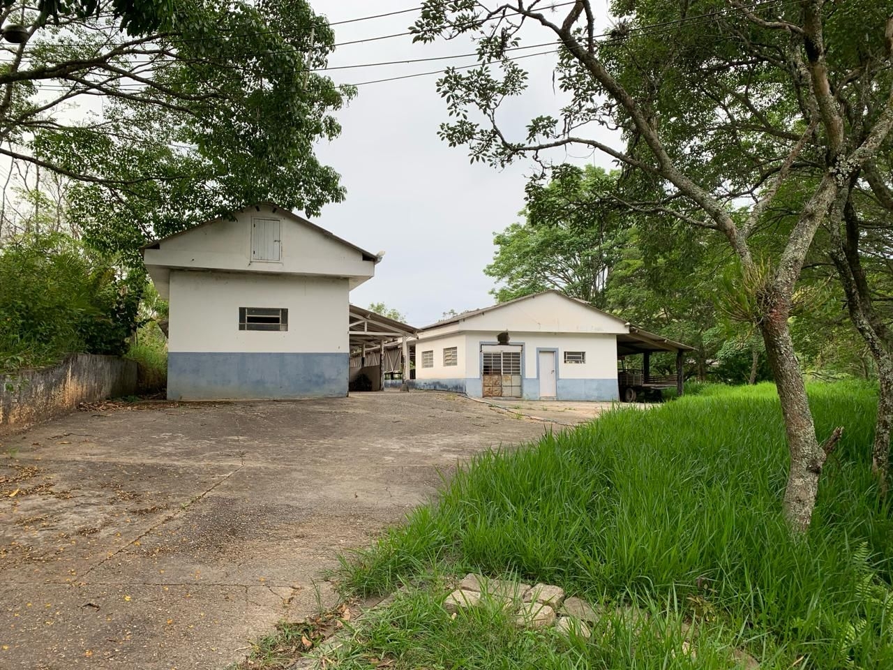 Sítio, 3 quartos, 500 m² - Foto 5