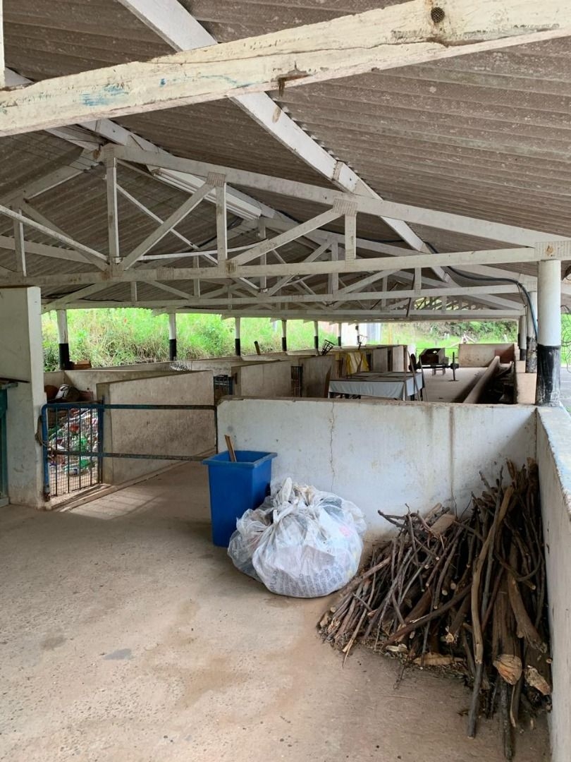 Sítio, 3 quartos, 500 m² - Foto 8