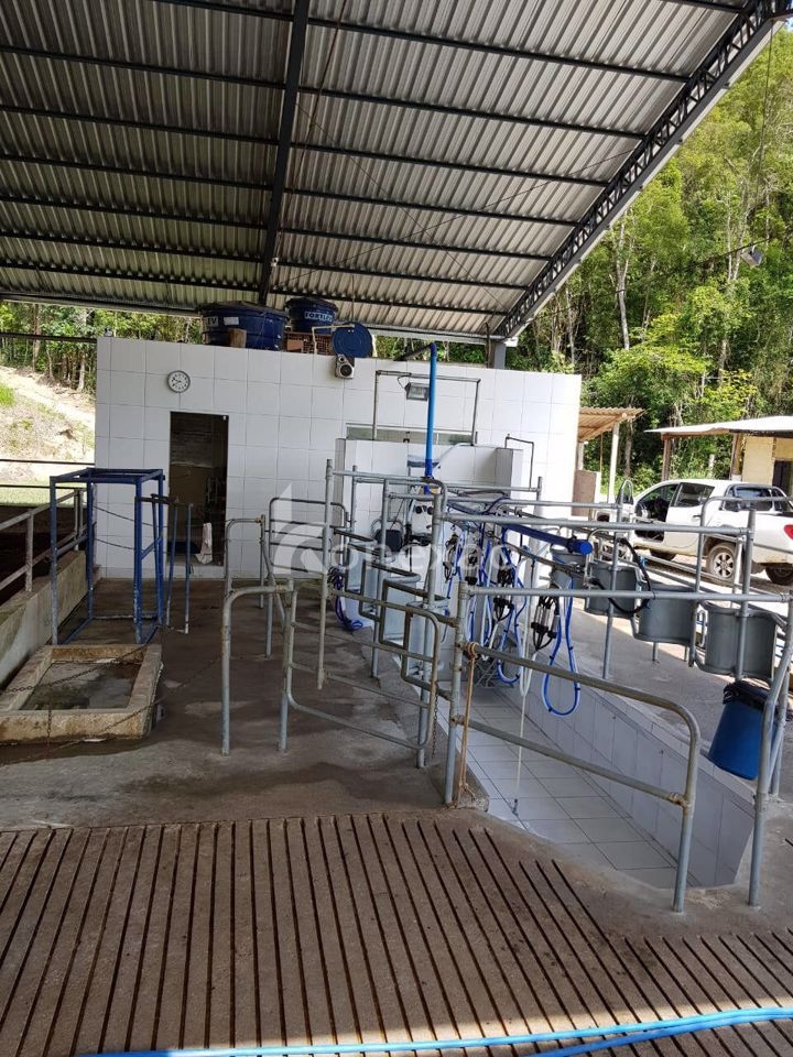 Fazenda em São Luíz do Paraitinga/São Paulo — Ref 1ZQMPQ — Imagem 6