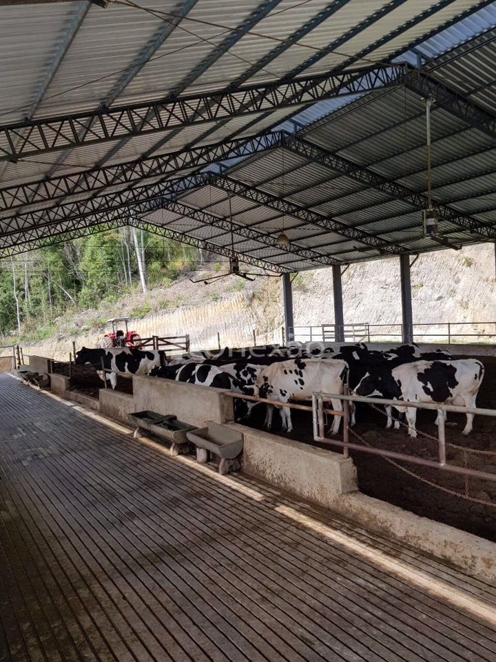 Fazenda em São Luíz do Paraitinga/São Paulo — Ref 1ZQMPQ — Imagem 8