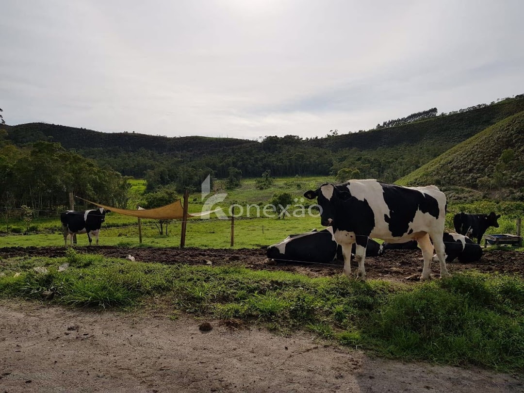 Fazenda, 120 m² - Foto 1