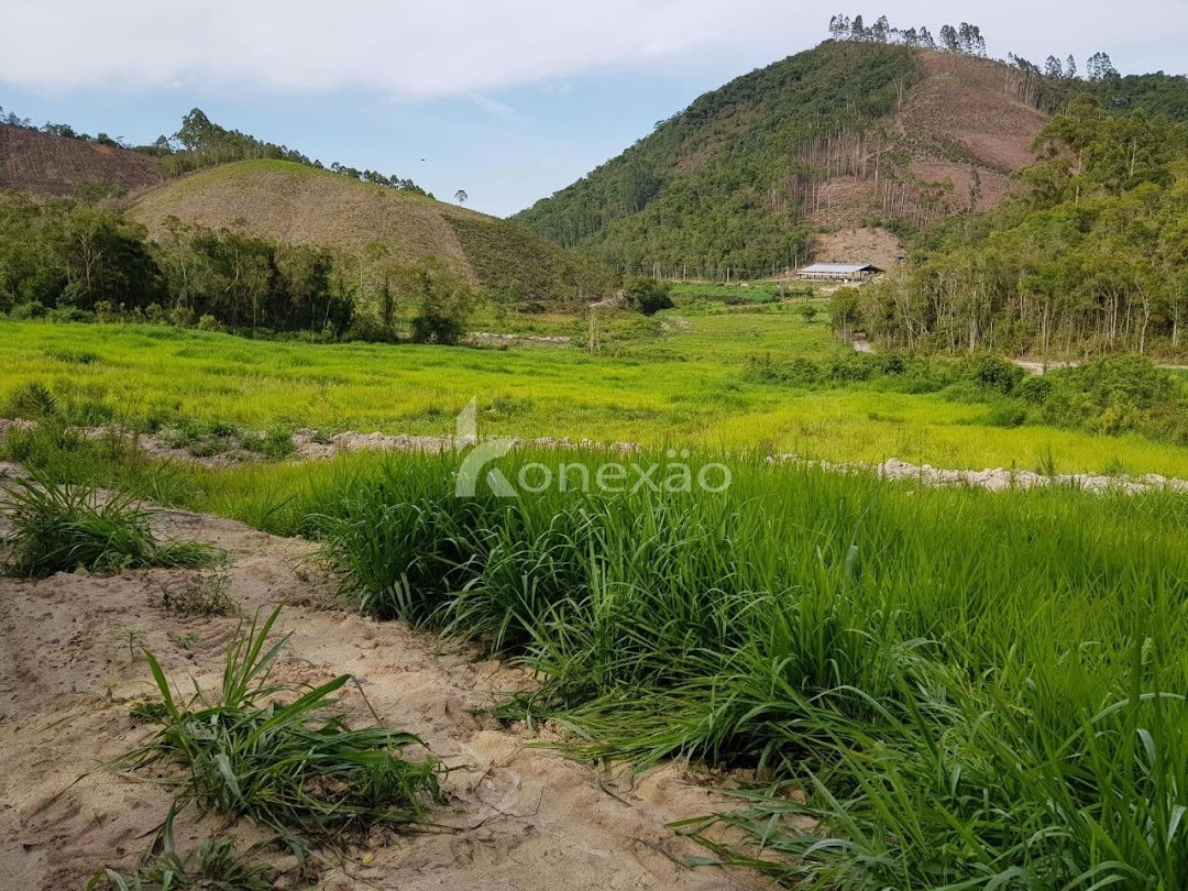 Fazenda em São Luíz do Paraitinga/São Paulo — Ref 1ZQMPQ — Imagem 14