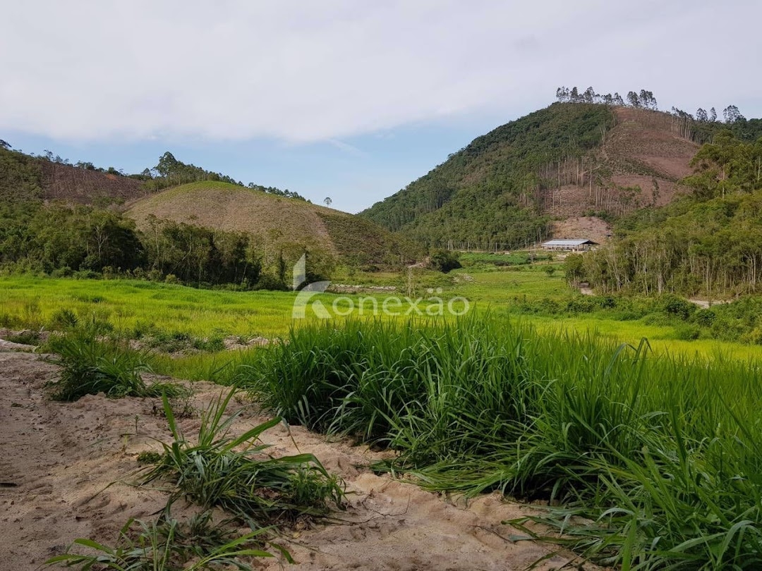 Fazenda em São Luíz do Paraitinga/São Paulo — Ref 1ZQMPQ — Imagem 15