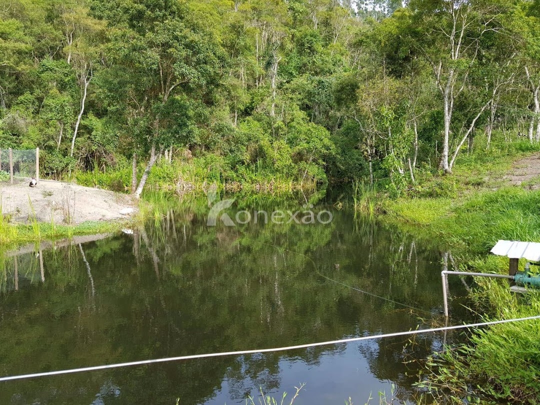 Fazenda em São Luíz do Paraitinga/São Paulo — Ref 1ZQMPQ — Imagem 19