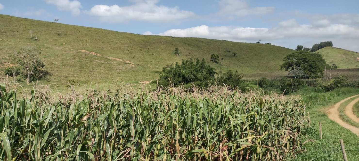 Fazenda, 150 m² - Foto 4