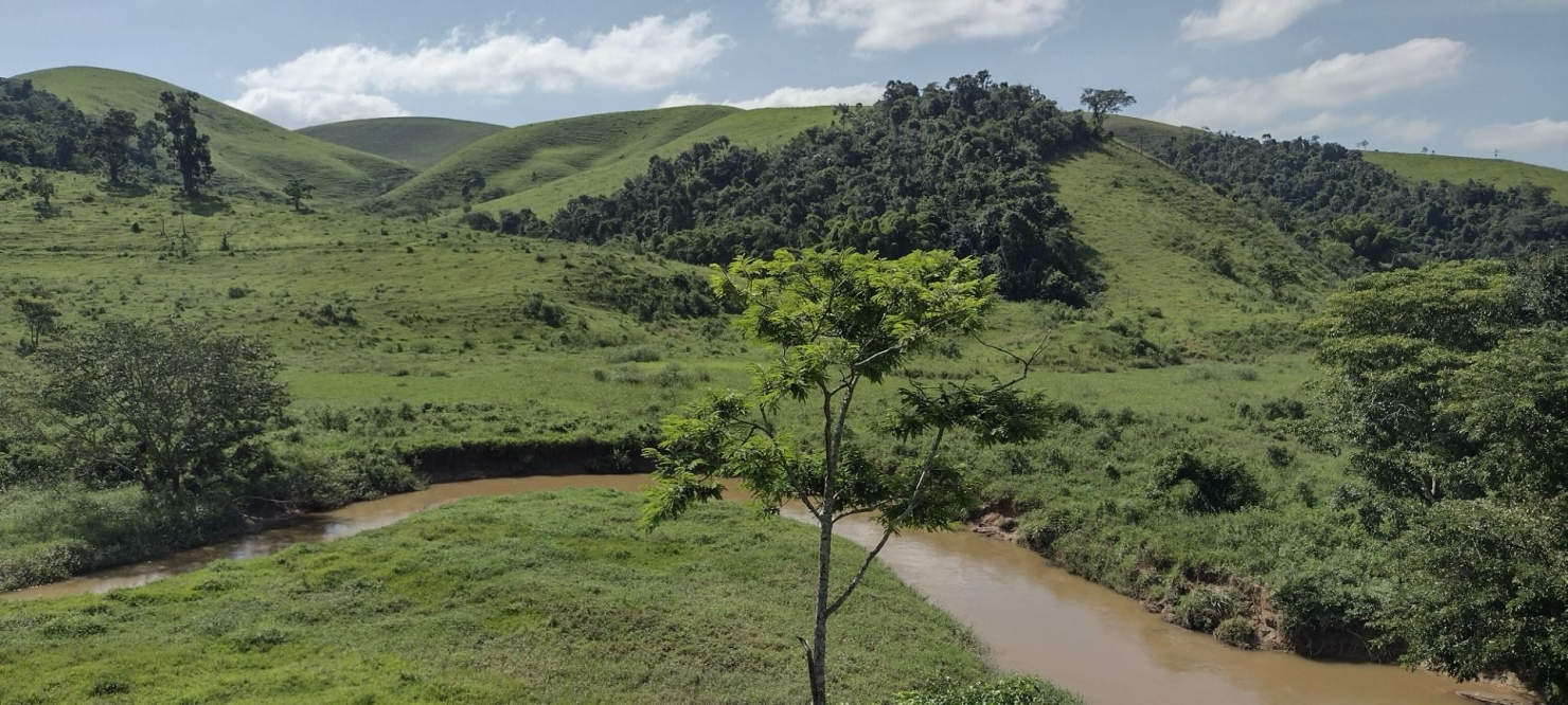 Fazenda, 150 m² - Foto 2