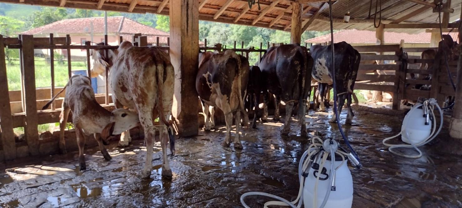 Fazenda, 150 m² - Foto 1