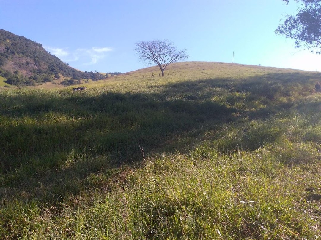 Fazenda em Paraisópolis/Minas Gerais — Ref H9OJTI — Imagem 15