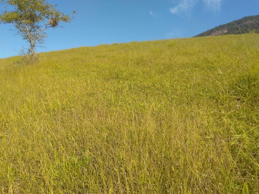 Fazenda em Paraisópolis/Minas Gerais — Ref H9OJTI — Imagem 12