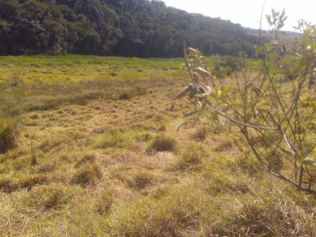 Fazenda em Paraisópolis/Minas Gerais — Ref H9OJTI — Imagem 9