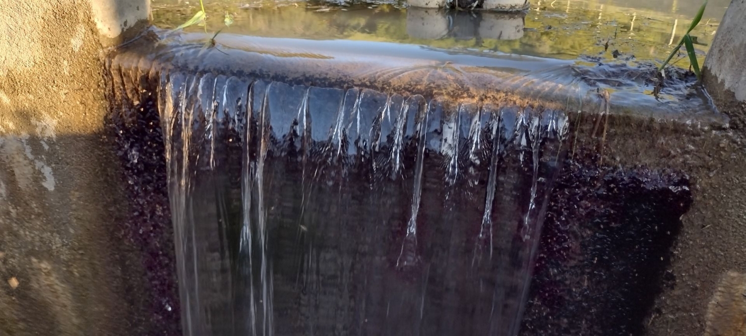 Sítio, 2 quartos, 200 m² - Foto 3