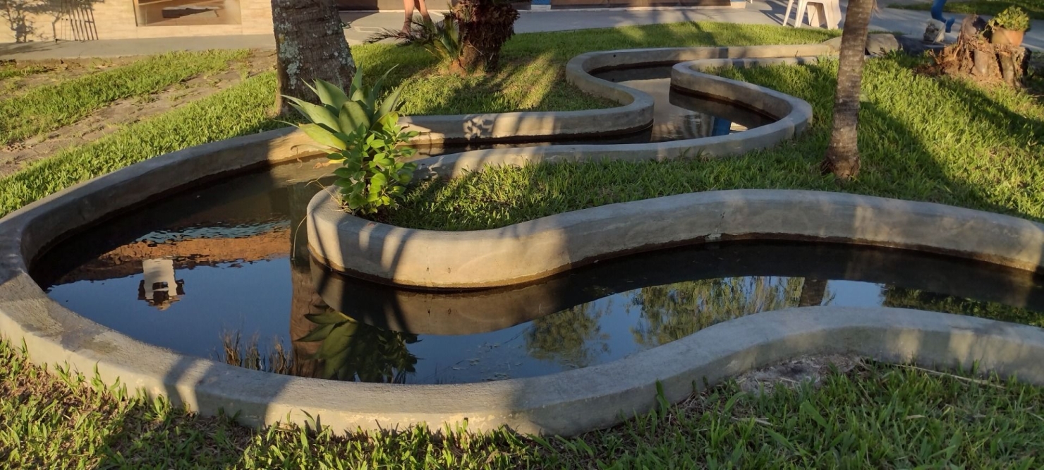 Sítio, 2 quartos, 200 m² - Foto 4