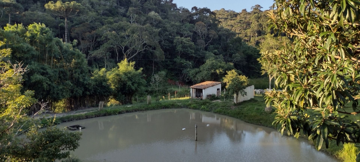 Sítio em São Luíz do Paraitinga/São Paulo — Ref BCZ7TZ — Imagem 6