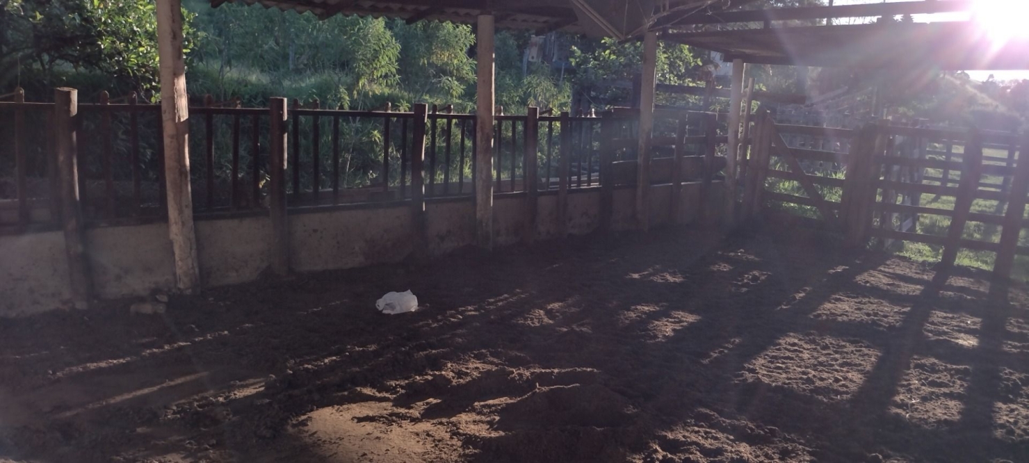 Sítio em São Luíz do Paraitinga/São Paulo — Ref BCZ7TZ — Imagem 10