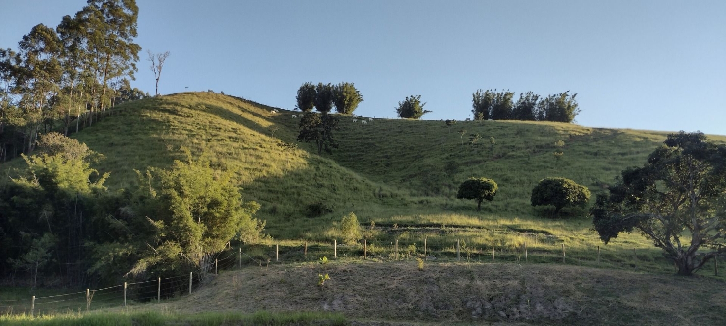 Sítio em São Luíz do Paraitinga/São Paulo — Ref BCZ7TZ — Imagem 18