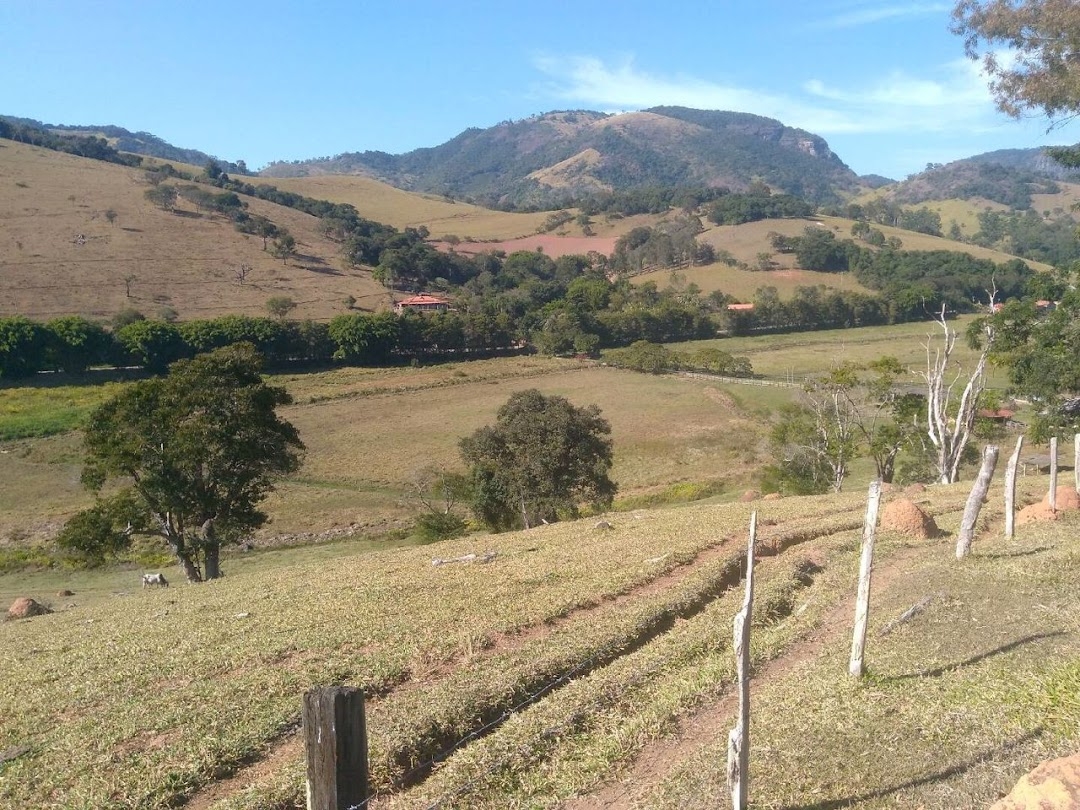 Fazenda em Paraisópolis/Minas Gerais — Ref H9OJTI — Imagem 13