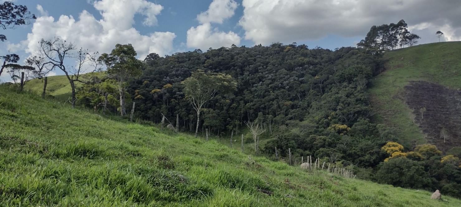 Sítio, 2 quartos, 100 m² - Foto 1