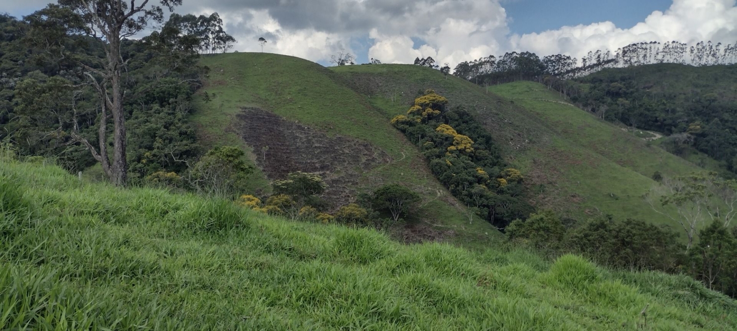 Sítio, 2 quartos, 100 m² - Foto 2