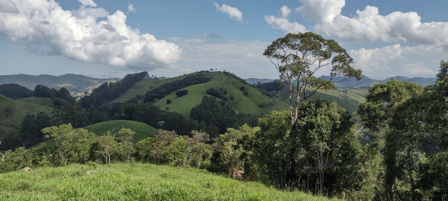 Sítio, 2 quartos, 100 m² - Foto 4